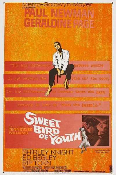 فيلم Sweet Bird Of Youth 1962 مترجم